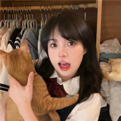 只为遇见你